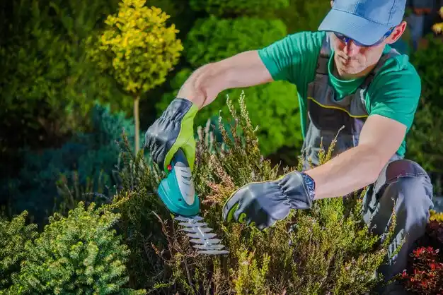 landscaping services Quiogue